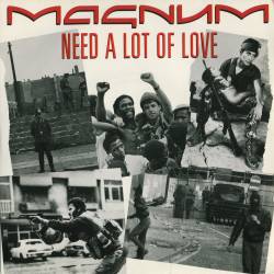Magnum (UK) : Need a Lot of Love
